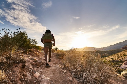 a person hiking while thinking about setting goals