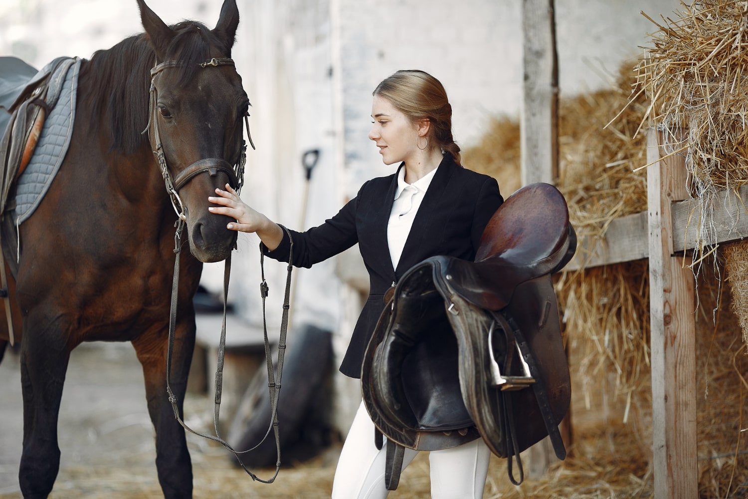 rider-trains-with-horse-min rider-trains-with-horse-min