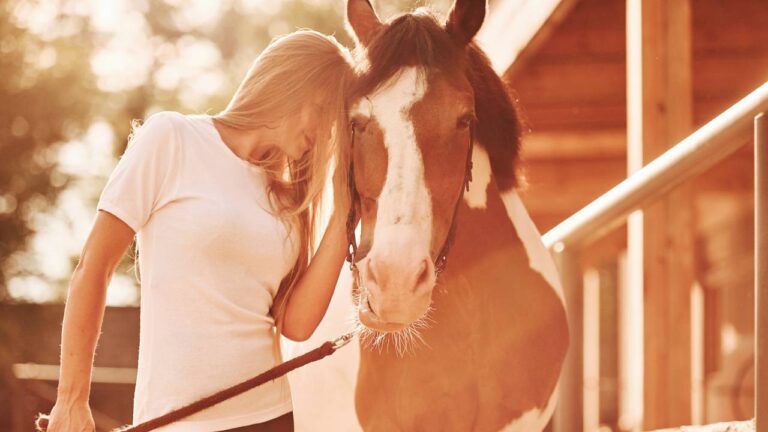 Equine Therapy for Trauma and Addiction: Why It Fits