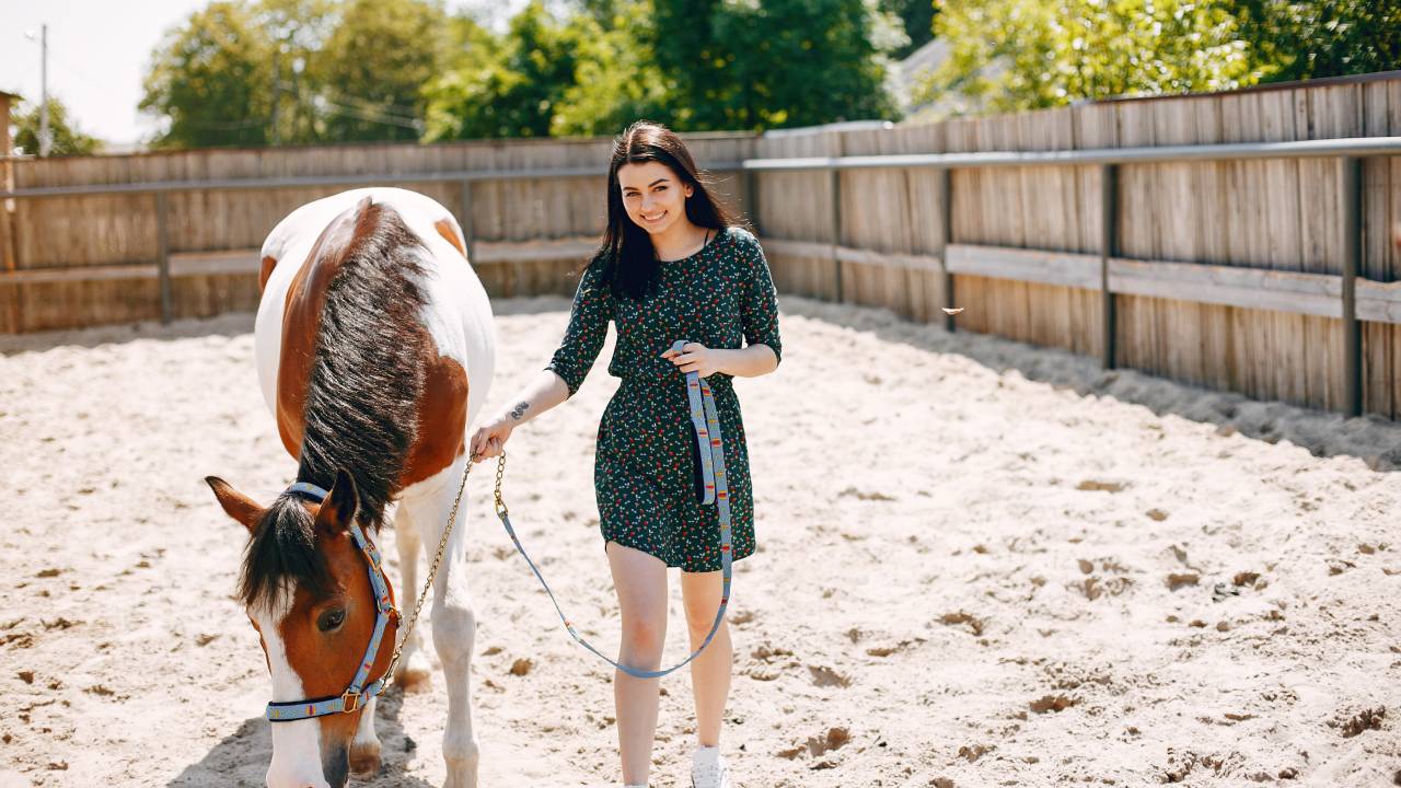 Equine Therapy in Residential Rehab: What to Expect
