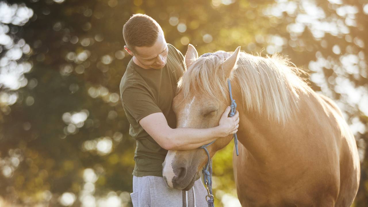 Equine assisted therapy