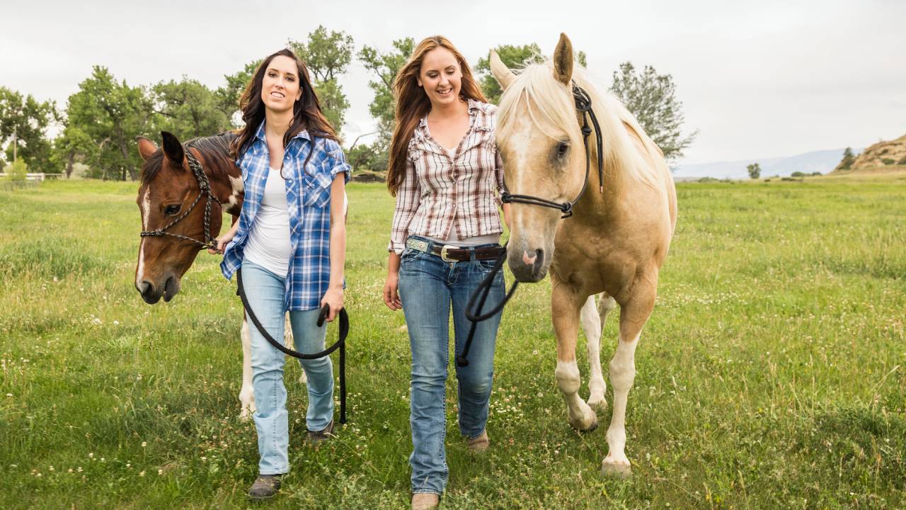 Does Equine Therapy Work for Addiction Recovery?