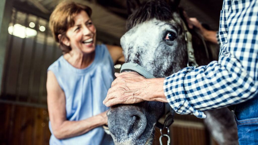 What Happens in an Equine Therapy Session?