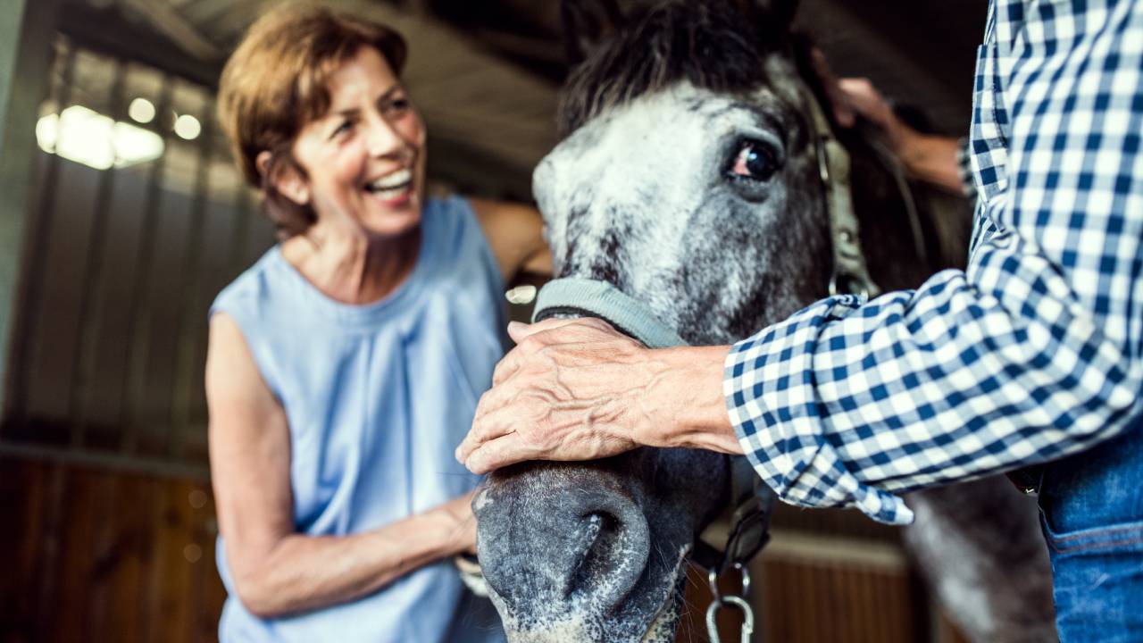 What Happens in an Equine Therapy Session?
