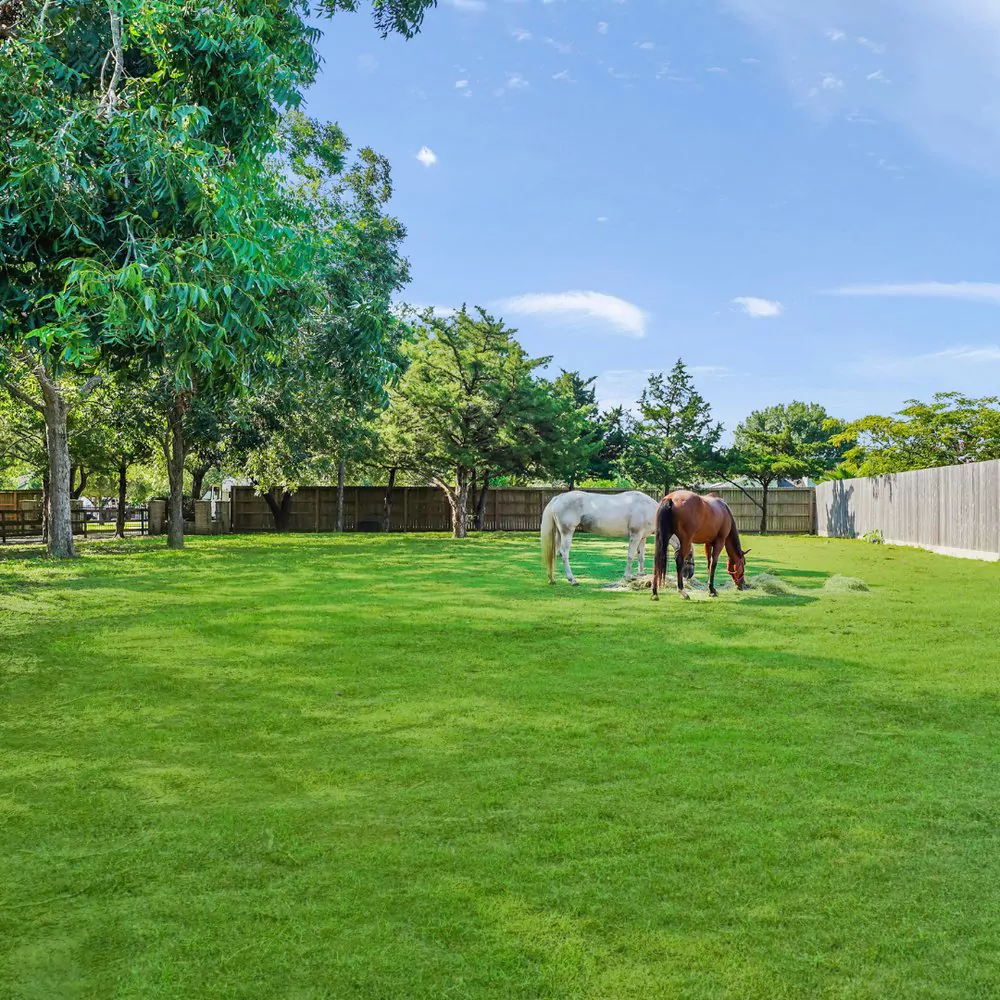 horses at Kemah Palms Recovery in South Hoston