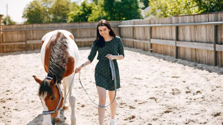 Equine Therapy in Residential Rehab: What to Expect