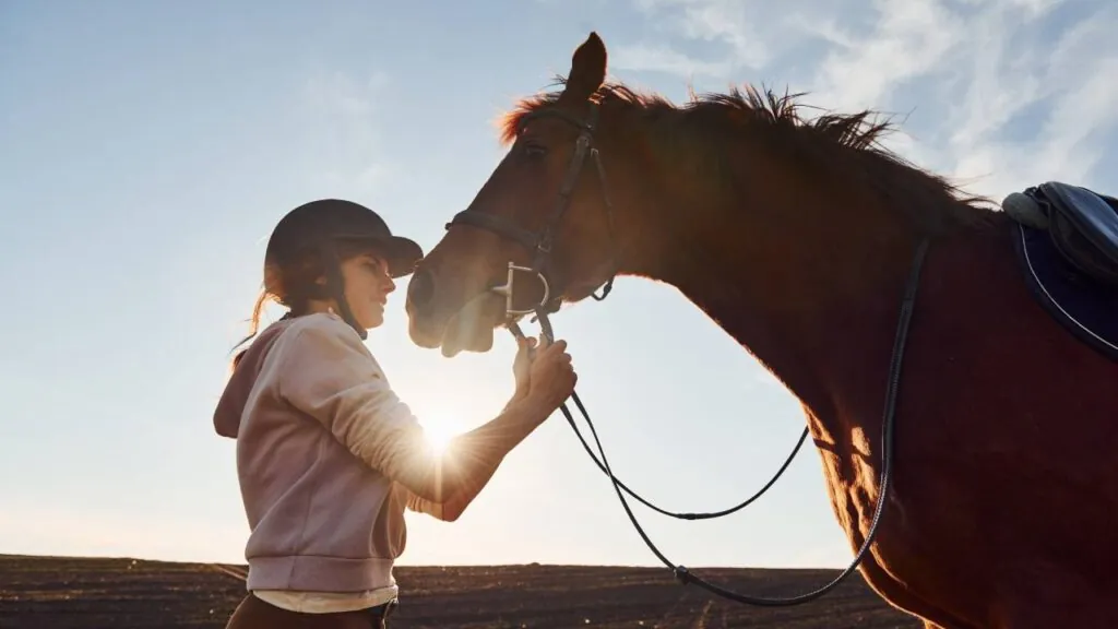 How Horse Therapy Works in Recovery, Step by Step